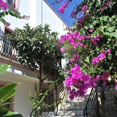 Aparthotel Diana Aparts 4*